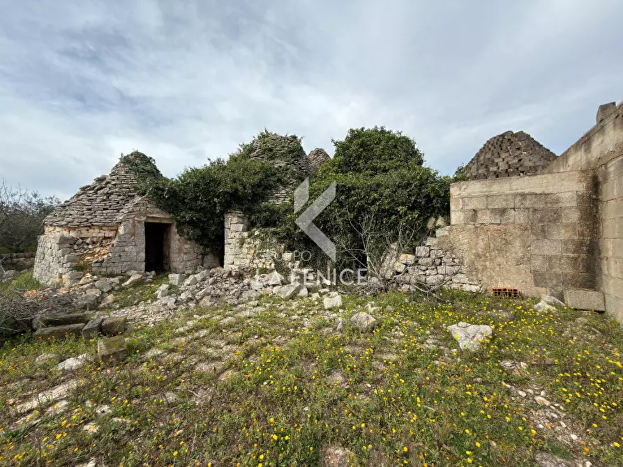 Immagine 10 di Rustico / casale in vendita  in contrada montemichele a Martina Franca