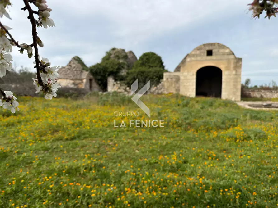 Immagine 11 di Rustico / casale in vendita  in contrada montemichele a Martina Franca