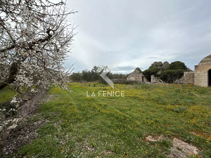 Immagine 13 di Rustico / casale in vendita  in contrada montemichele a Martina Franca