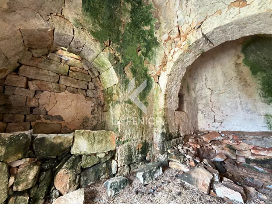 Immagine 18 di Rustico / casale in vendita  in contrada montemichele a Martina Franca