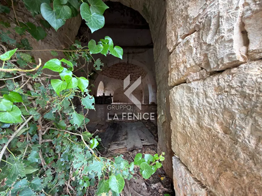 Immagine 19 di Rustico / casale in vendita  in contrada montemichele a Martina Franca