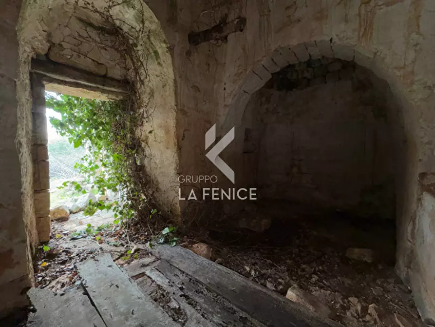 Immagine 22 di Rustico / casale in vendita  in contrada montemichele a Martina Franca