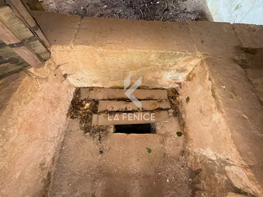 Immagine 23 di Rustico / casale in vendita  in contrada montemichele a Martina Franca