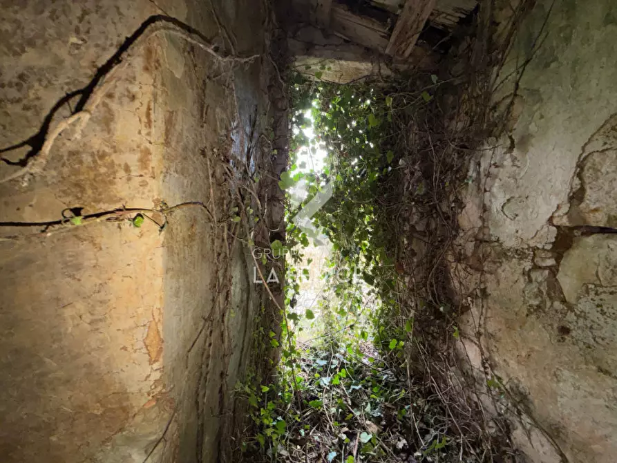 Immagine 28 di Rustico / casale in vendita  in contrada montemichele a Martina Franca