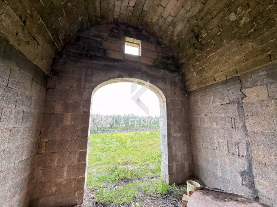 Immagine 47 di Rustico / casale in vendita  in contrada montemichele a Martina Franca