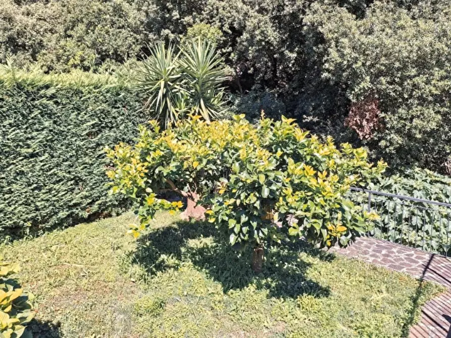 Immagine 12 di Appartamento in vendita  in Via Pertinace, 20B, 17047 Sant'Ermete SV, Italia a Vado Ligure