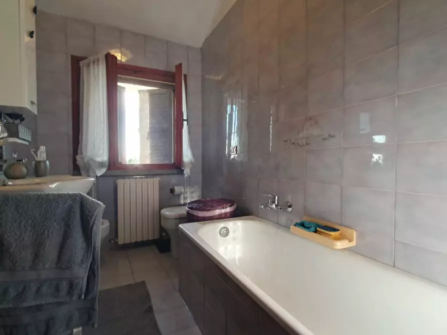 Immagine 18 di Casa indipendente in vendita  in Via Giacomo Matteotti a San Possidonio