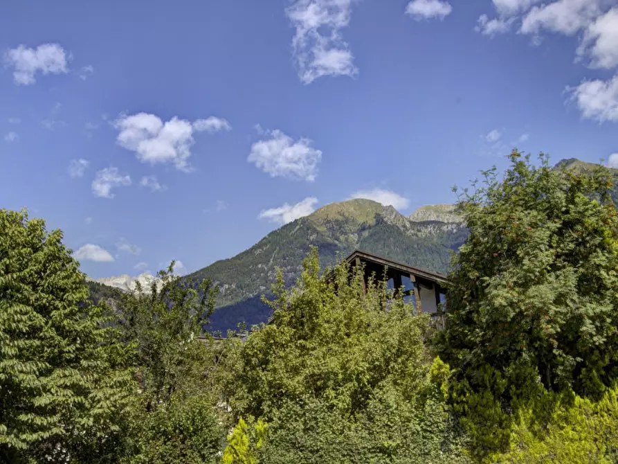 Immagine 16 di Casa indipendente in vendita  in Piazza San Gerolamo, 18 a Pinzolo