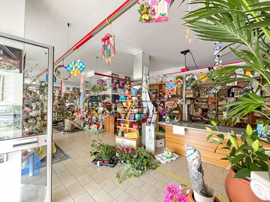 Immagine 3 di Negozio in vendita  in Strada Canizzano a Treviso