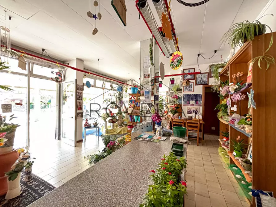 Immagine 4 di Negozio in vendita  in Strada Canizzano a Treviso