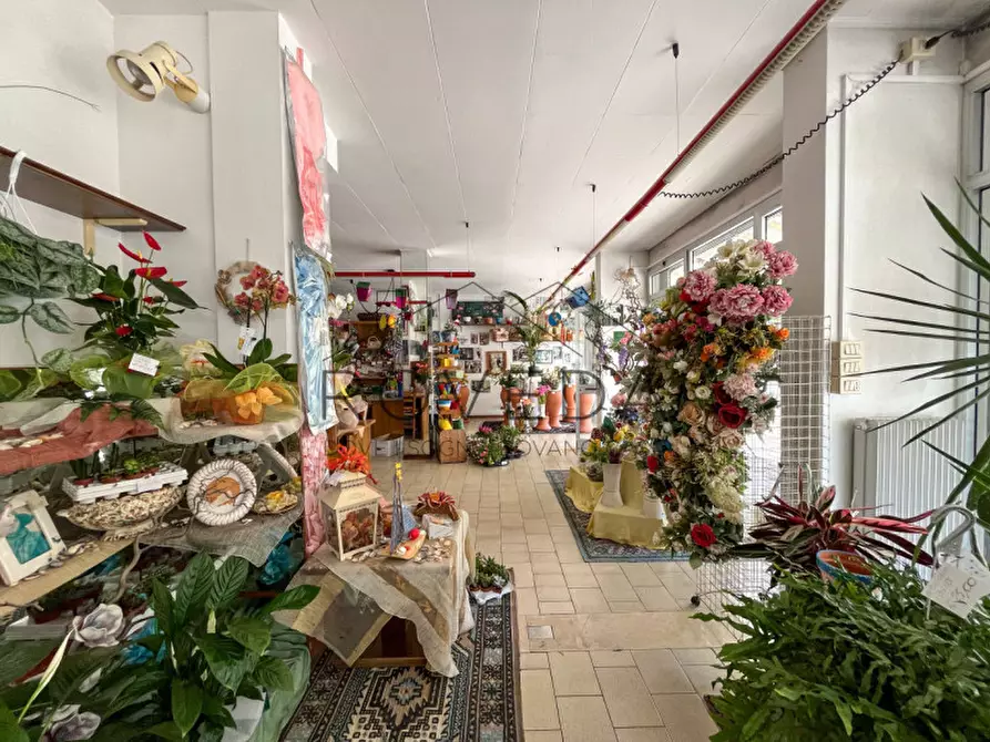 Immagine 8 di Negozio in vendita  in Strada Canizzano a Treviso