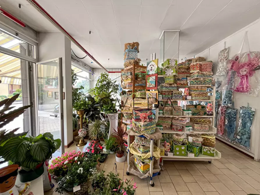 Immagine 9 di Negozio in vendita  in Strada Canizzano a Treviso