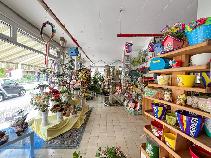 Immagine 10 di Negozio in vendita  in Strada Canizzano a Treviso