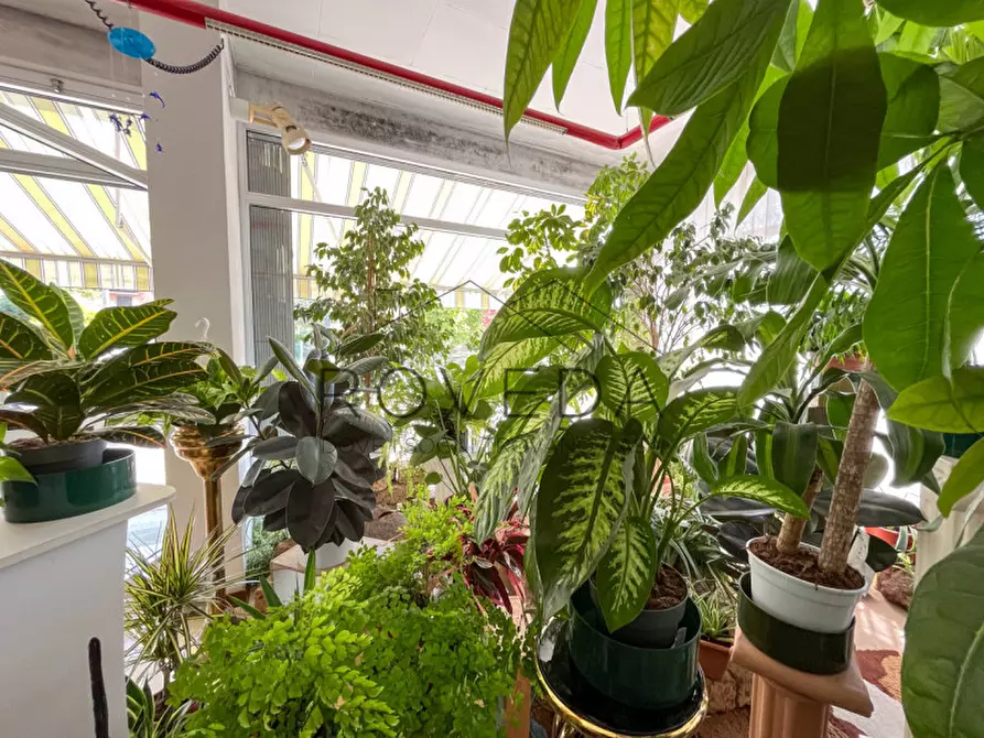 Immagine 12 di Negozio in vendita  in Strada Canizzano a Treviso