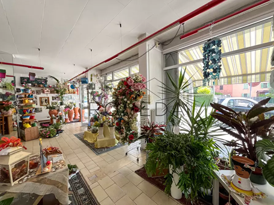 Immagine 13 di Negozio in vendita  in Strada Canizzano a Treviso