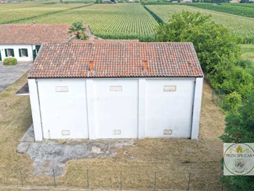 Immagine 23 di Rustico / casale in vendita  a Agna