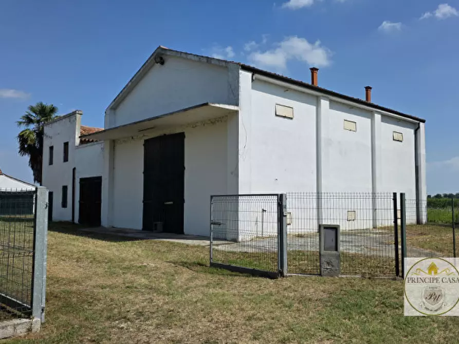 Immagine 26 di Rustico / casale in vendita  a Agna