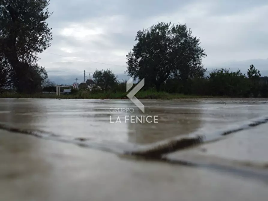 Immagine 37 di Villa in vendita  in Strada Martina Franca - Alberobello a Martina Franca