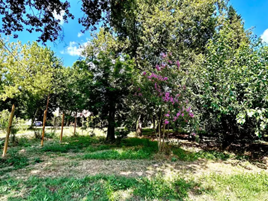 Immagine 4 di Casa bifamiliare in vendita  in Via di Sotto a Cavezzo