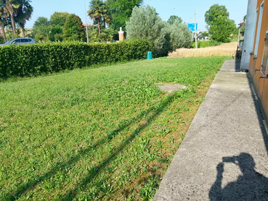 Immagine 3 di Casa indipendente in vendita  in Via dei Tigli a Scorzè