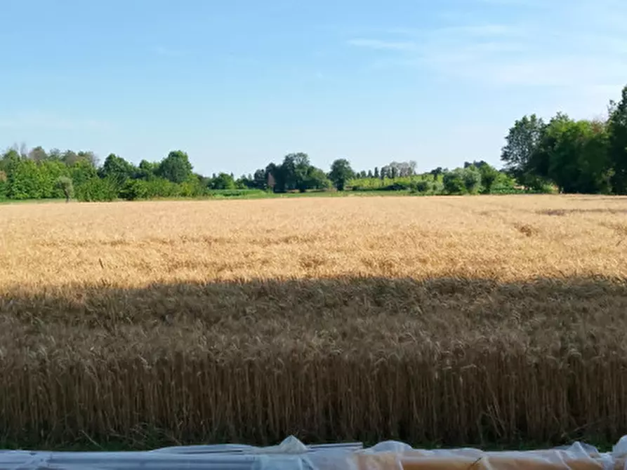 Immagine 5 di Casa indipendente in vendita  in Via dei Tigli a Scorzè