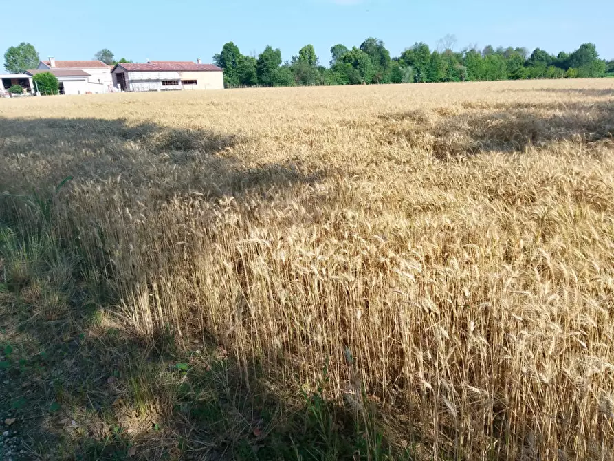 Immagine 6 di Casa indipendente in vendita  in Via dei Tigli a Scorzè