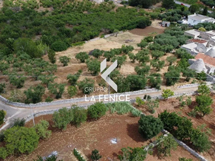 Immagine 8 di Rustico / casale in vendita  in C.da Falsegna a Martina Franca