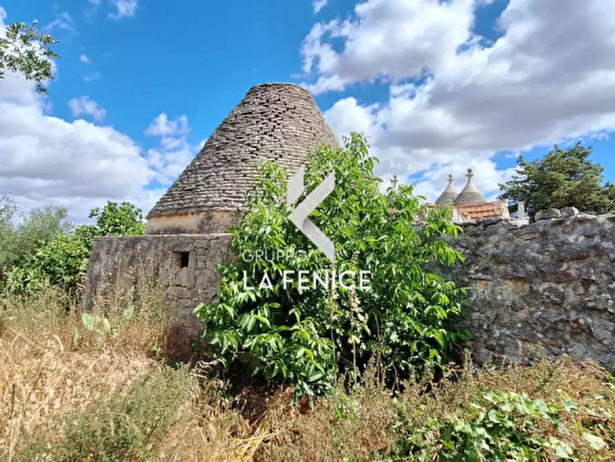 Immagine 10 di Rustico / casale in vendita  in C.da Falsegna a Martina Franca