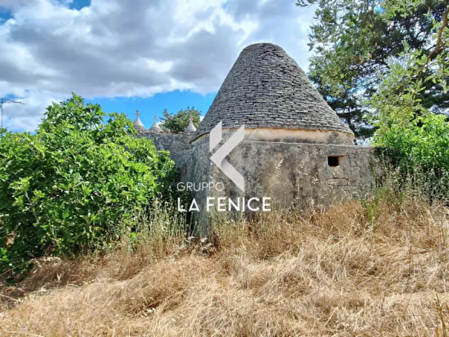 Immagine 11 di Rustico / casale in vendita  in C.da Falsegna a Martina Franca