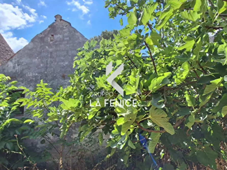 Immagine 12 di Rustico / casale in vendita  in C.da Falsegna a Martina Franca