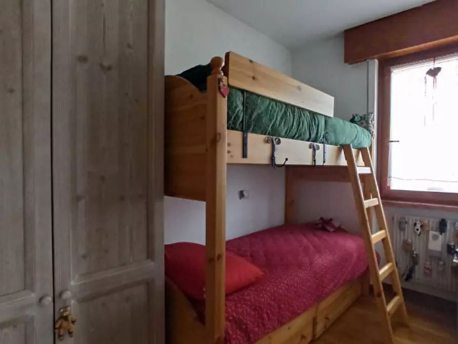 Immagine 5 di Appartamento in vendita  in Via Cogonie,22 a Pieve Di Cadore