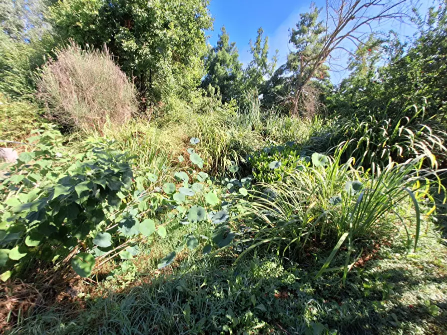 Immagine 52 di Casa indipendente in vendita  in via cavo argine a Modena