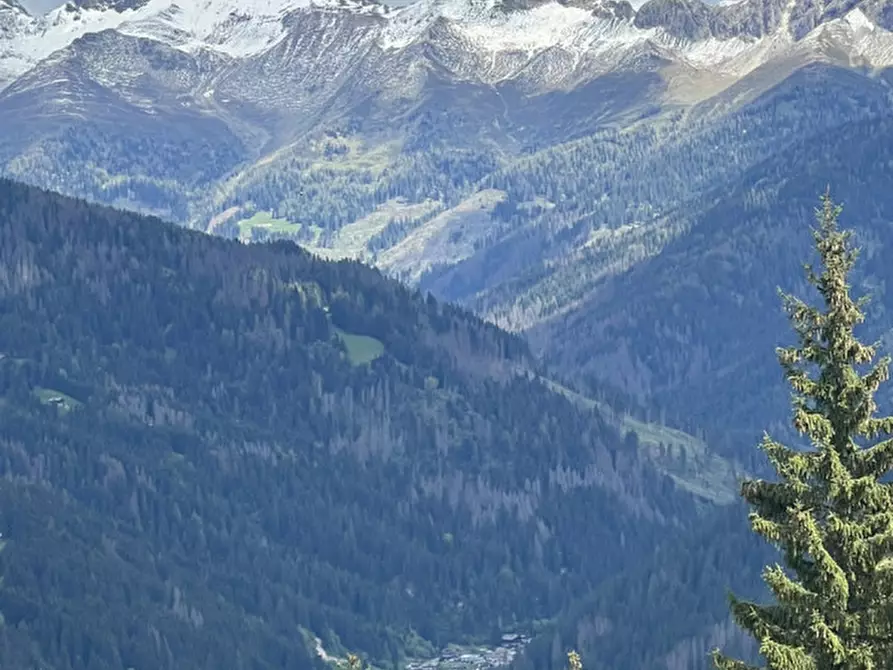 Immagine 3 di Appartamento in vendita  in Via Gera, 13 a Danta Di Cadore
