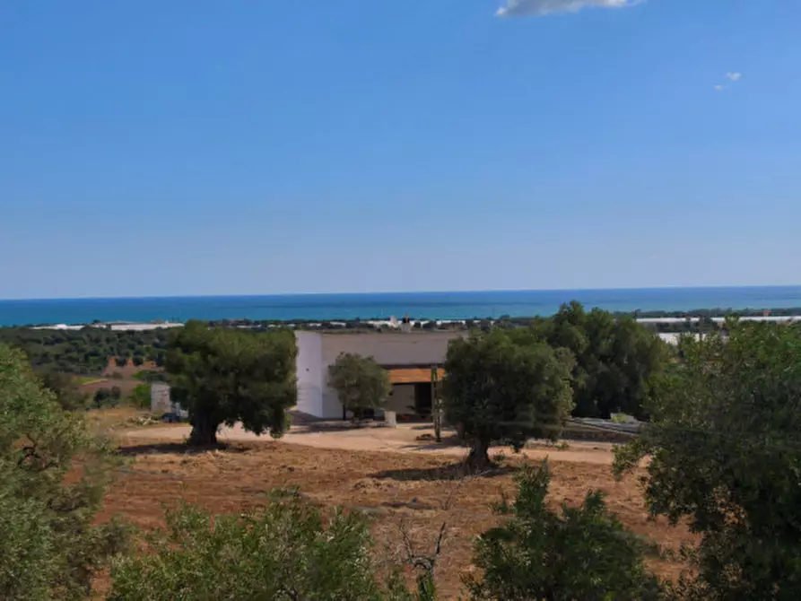 Immagine 2 di Casa bifamiliare in vendita  in Contrada L'Assunta a Monopoli