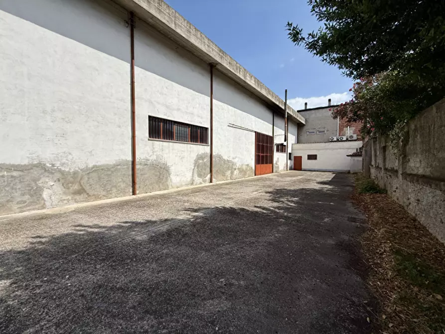 Immagine 10 di Magazzino in vendita  in Via Marconi 39 a Cerea