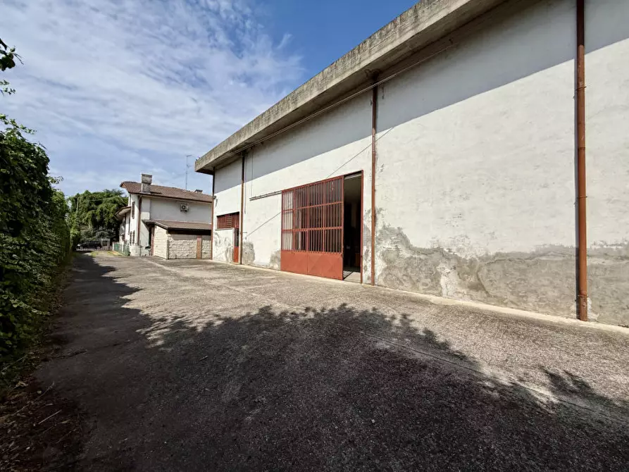 Immagine 11 di Magazzino in vendita  in Via Marconi 39 a Cerea