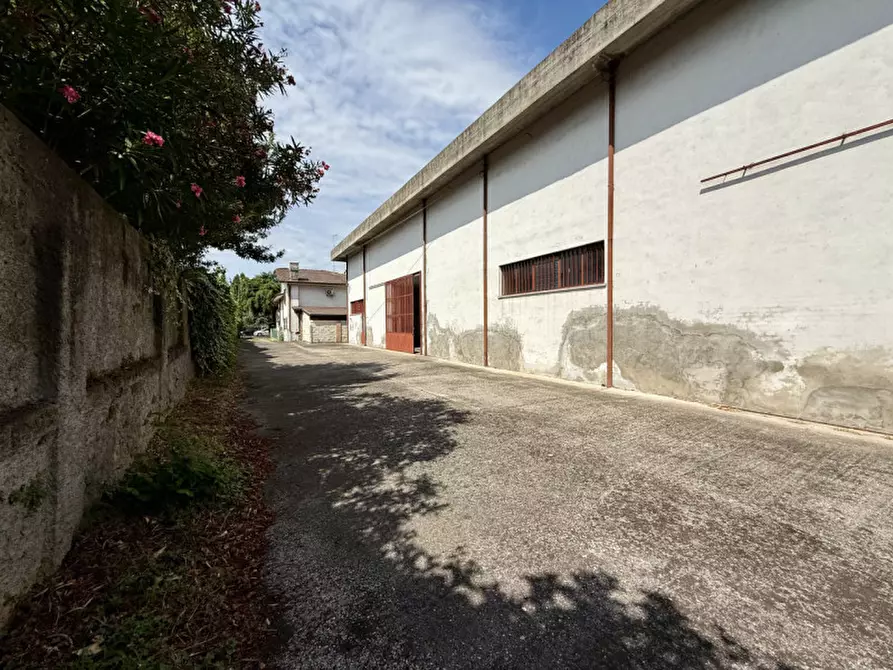 Immagine 13 di Magazzino in vendita  in Via Marconi 39 a Cerea