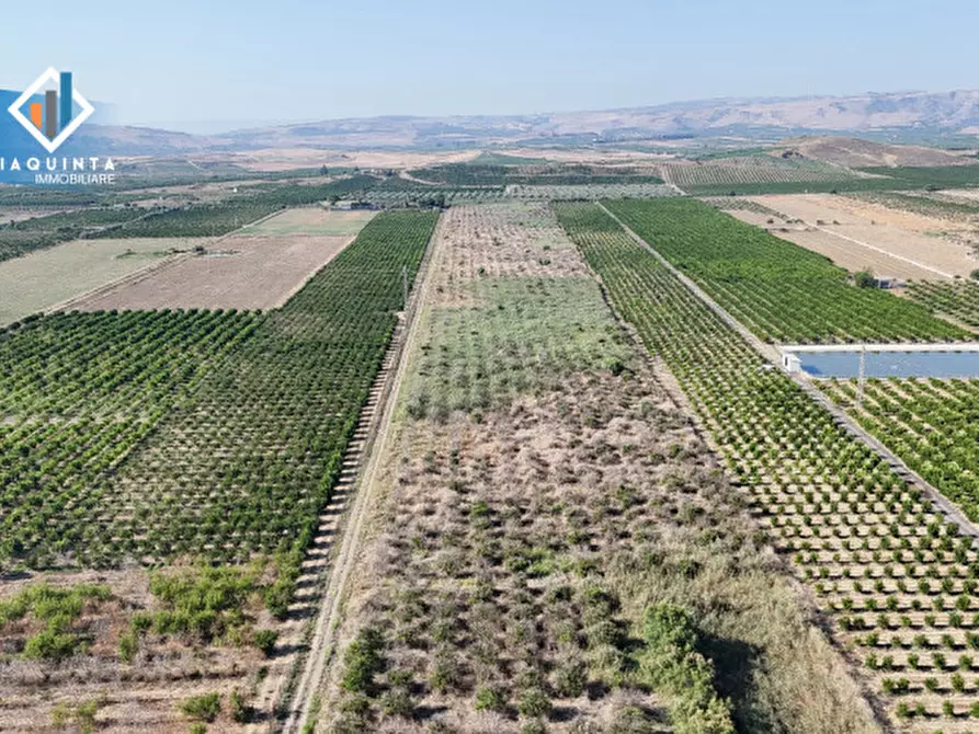 Immagine 1 di Terreno in vendita  in Strada statale 417 / c.da Cuticchi snc a Ramacca