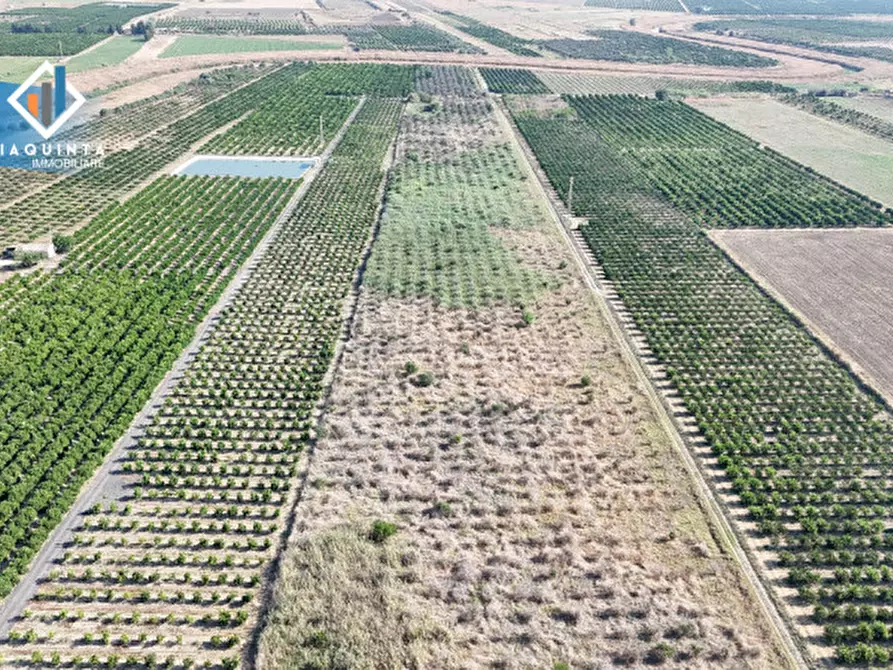 Immagine 2 di Terreno in vendita  in Strada statale 417 / c.da Cuticchi snc a Ramacca