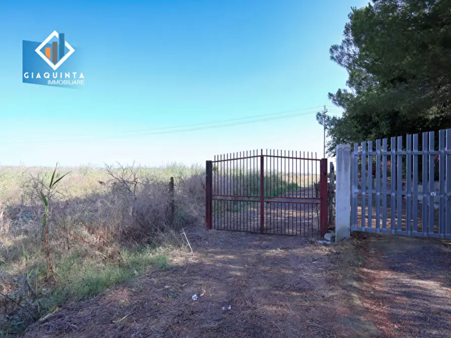 Immagine 3 di Terreno in vendita  in Strada statale 417 / c.da Cuticchi snc a Ramacca