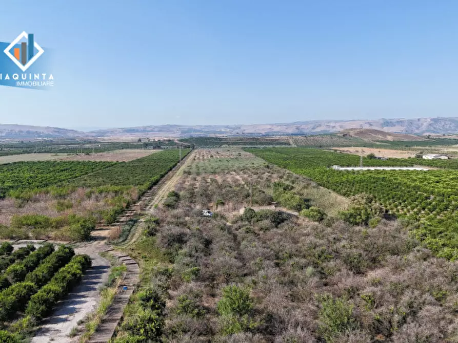 Immagine 4 di Terreno in vendita  in Strada statale 417 / c.da Cuticchi snc a Ramacca