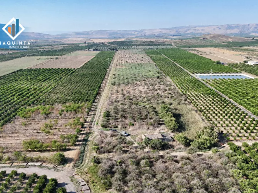 Immagine 5 di Terreno in vendita  in Strada statale 417 / c.da Cuticchi snc a Ramacca