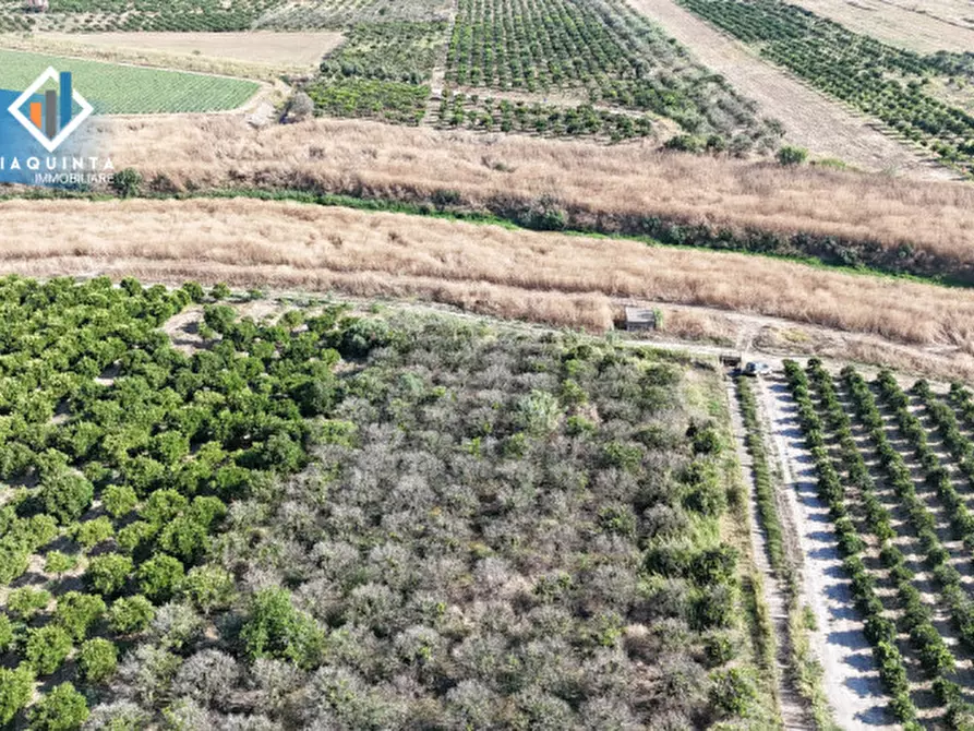 Immagine 6 di Terreno in vendita  in Strada statale 417 / c.da Cuticchi snc a Ramacca
