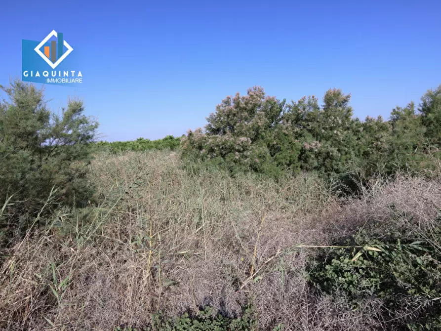 Immagine 7 di Terreno in vendita  in Strada statale 417 / c.da Cuticchi snc a Ramacca