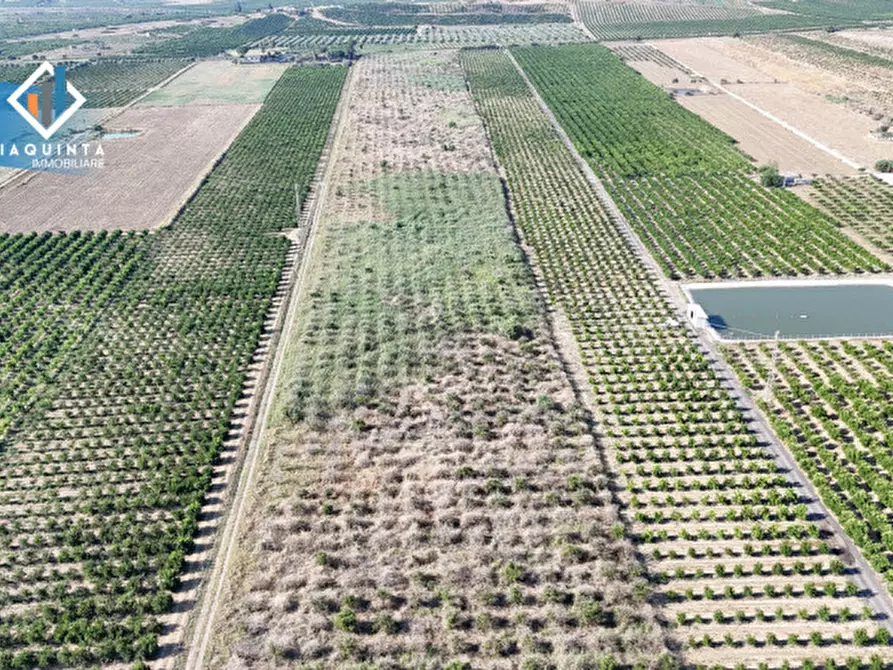 Immagine 9 di Terreno in vendita  in Strada statale 417 / c.da Cuticchi snc a Ramacca