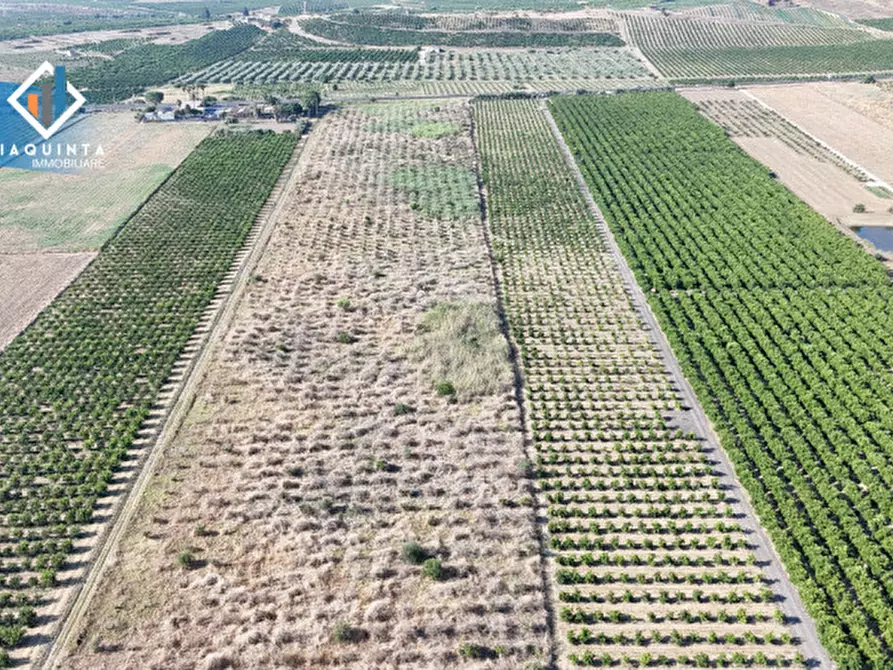 Immagine 10 di Terreno in vendita  in Strada statale 417 / c.da Cuticchi snc a Ramacca