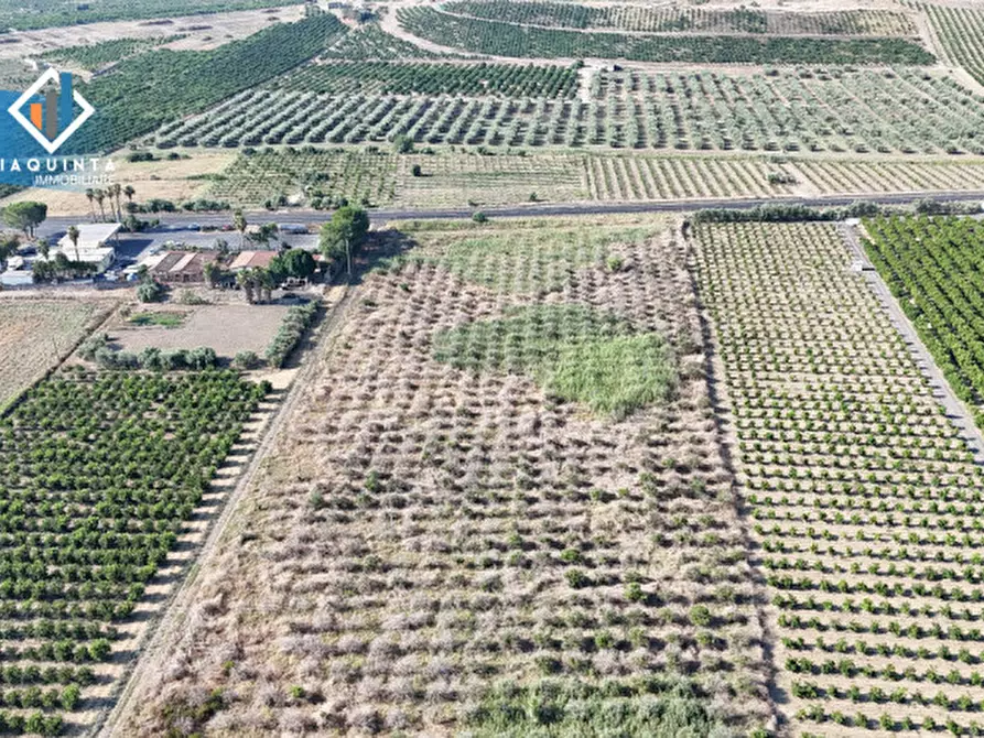 Immagine 11 di Terreno in vendita  in Strada statale 417 / c.da Cuticchi snc a Ramacca