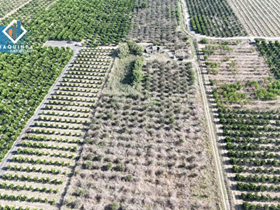 Immagine 12 di Terreno in vendita  in Strada statale 417 / c.da Cuticchi snc a Ramacca