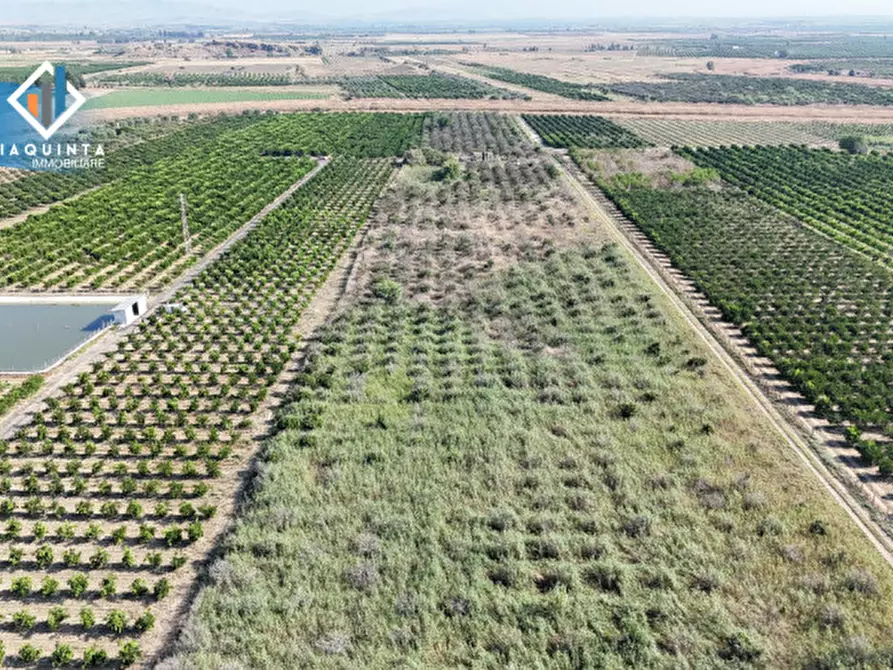 Immagine 13 di Terreno in vendita  in Strada statale 417 / c.da Cuticchi snc a Ramacca