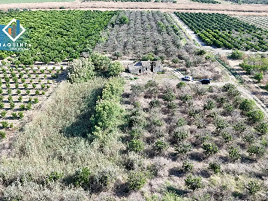 Immagine 14 di Terreno in vendita  in Strada statale 417 / c.da Cuticchi snc a Ramacca